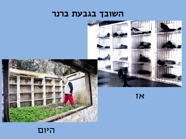 שקופית7